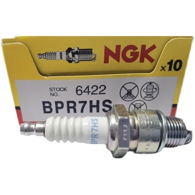 Ngk (Bpr 7hs)